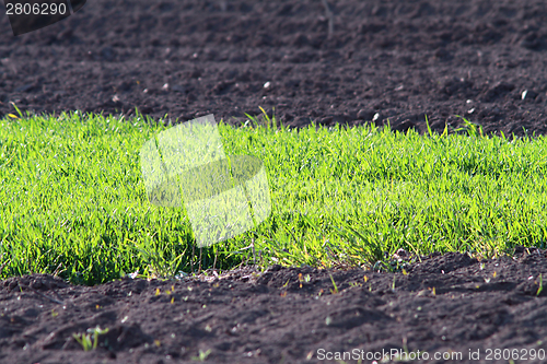 Image of contrasts on farmland