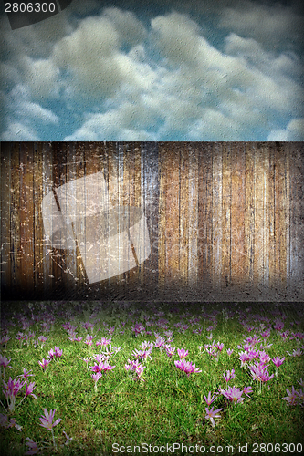 Image of abstract distressed garden backdrop