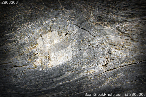 Image of knot on oak wood