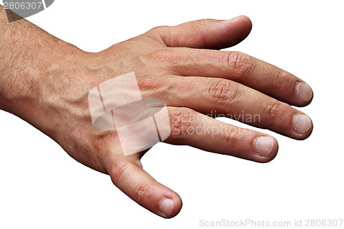 Image of isolated male human hand