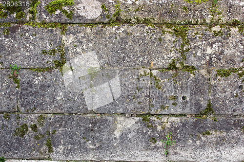 Image of green moss on ancient wall
