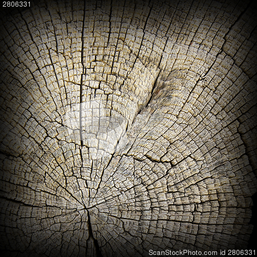 Image of interesting textured oak wood section