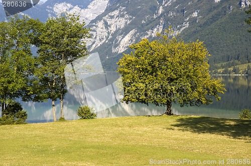 Image of lake