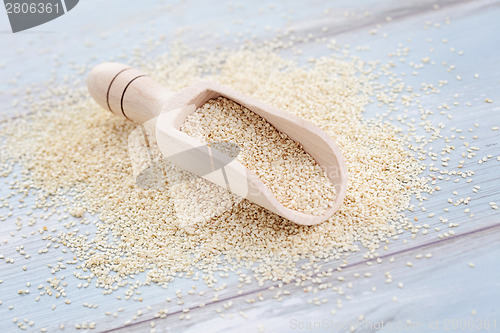 Image of sesame seed