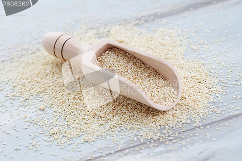 Image of sesame seed