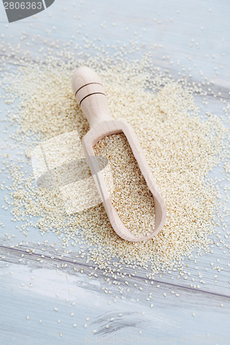 Image of sesame seed