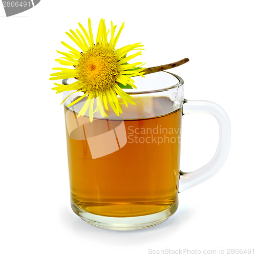 Image of Herbal tea with elecampane in a glass mug