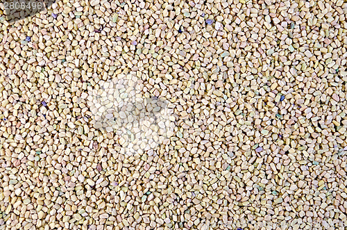 Image of Fenugreek texture 1