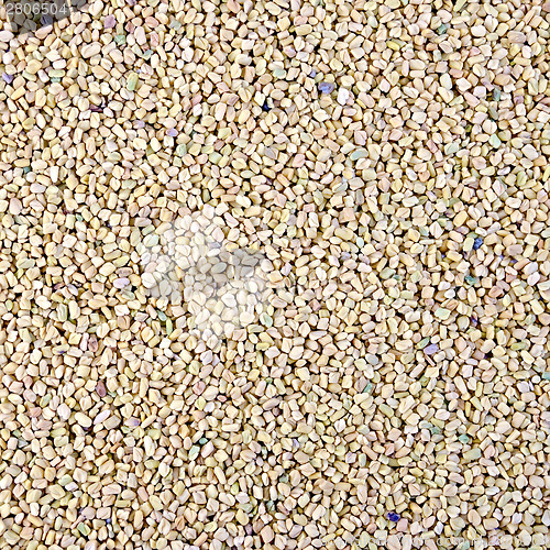 Image of Fenugreek texture 2