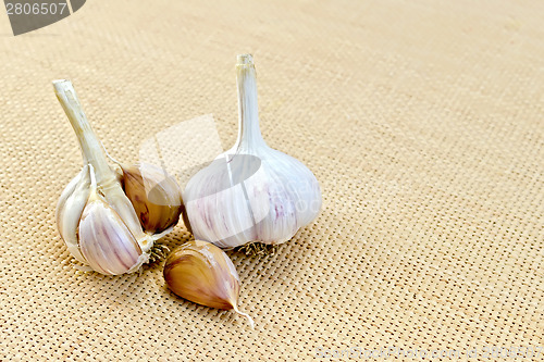 Image of Garlic on a sacking