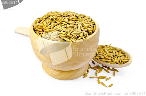 Image of Oats in a bowl and spoon