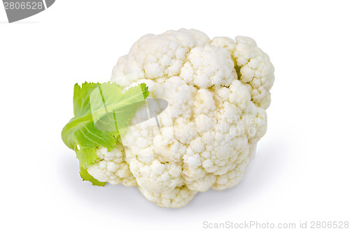 Image of Cauliflower with leaf 1