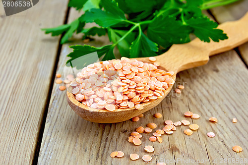 Image of Lentils red in a wooden spoon on board