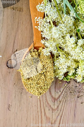 Image of Herbal tea from meadowsweet in wooden spoon