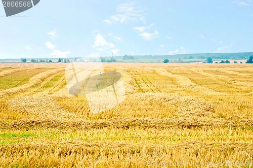 Image of Straw stripes on the field