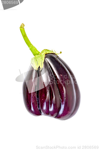 Image of Eggplant purple