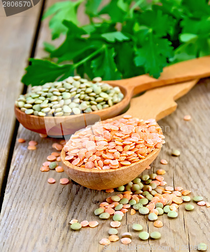 Image of Lentils red and green in wooden spoons on board