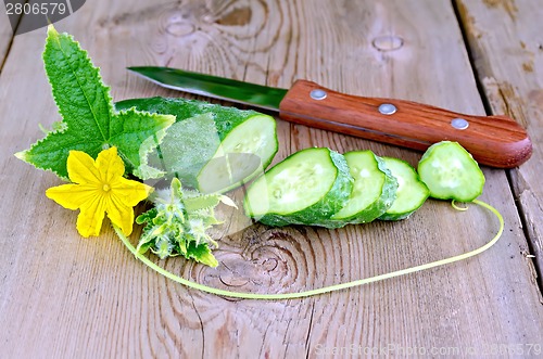 Image of Cucumber sliced with flower and leaf on board