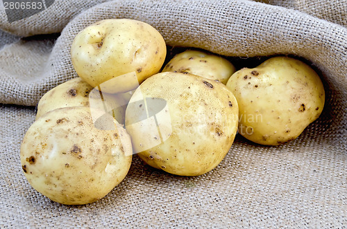 Image of Potatoes yellow on burlap background