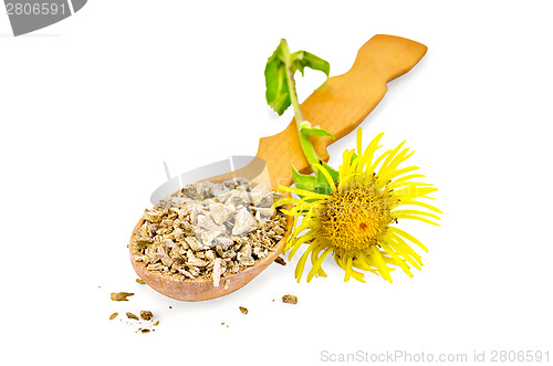 Image of Elecampane root on a spoon with flower