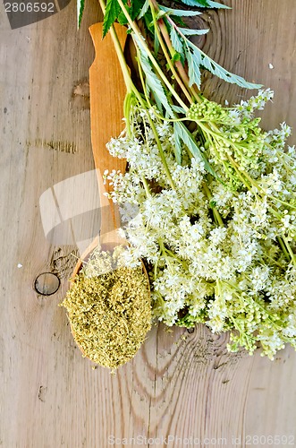 Image of Herbal tea from meadowsweet in spoon on board