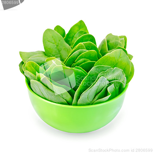 Image of Spinach in a green bowl