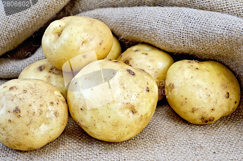 Image of Potatoes yellow with burlap