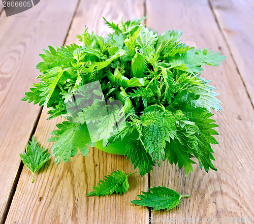 Image of Nettles in a green bowl on board