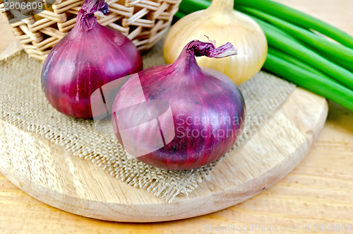 Image of Onion yellow and purple on board