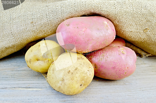 Image of Potatoes yellow and red with burlap on board