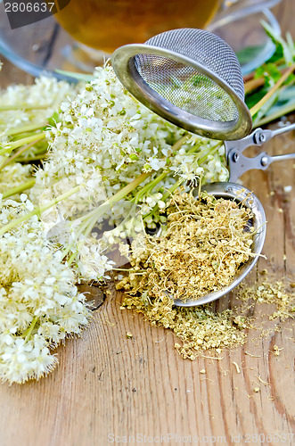 Image of Herbal tea from meadowsweet with strainer and cup