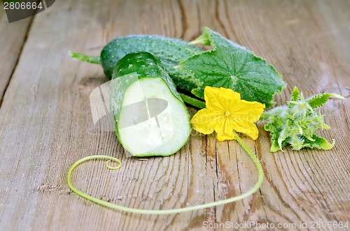 Image of Cucumber sliced with a flower on board