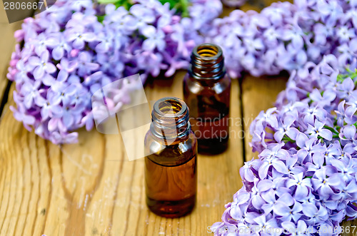 Image of Oil with lilacs on board