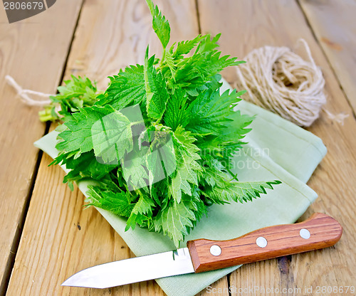 Image of Nettle with napkin and twine on board