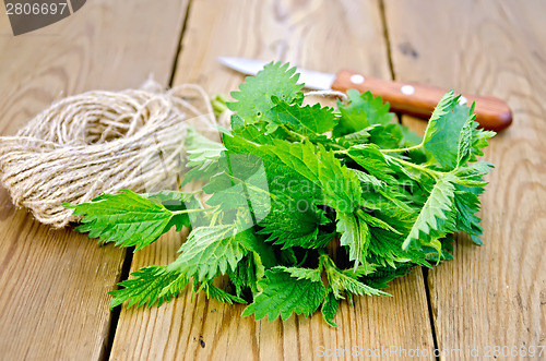 Image of Nettle with a knife and twine on board
