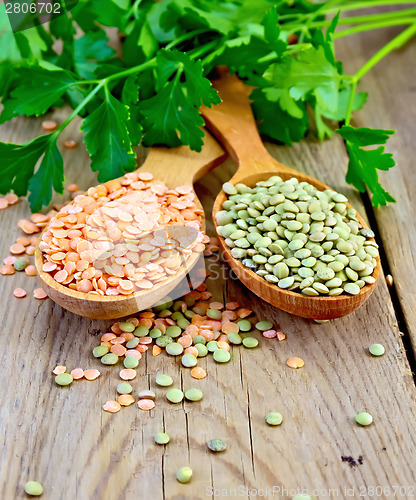Image of Lentils red and green in spoons with parsley on board