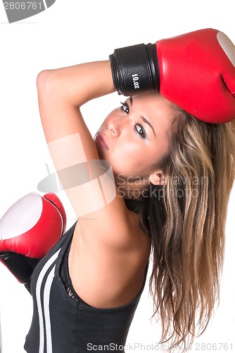 Image of Portrait of sexy boxer girl