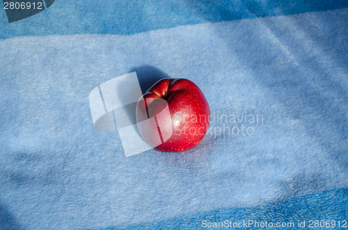 Image of red apple lying on soft blue surface 