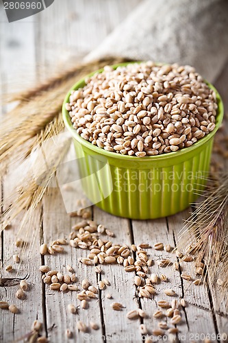 Image of wheat grain in bowl and ears