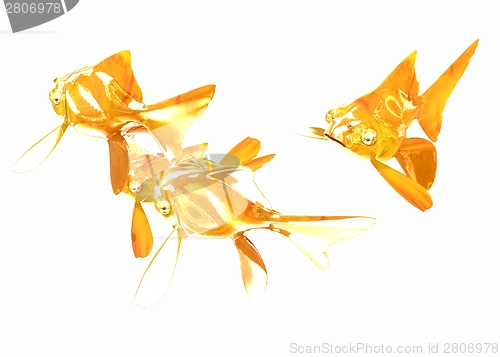 Image of Gold fishes