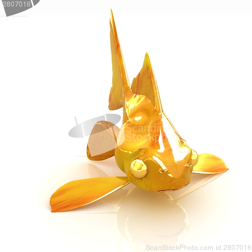 Image of Gold fish