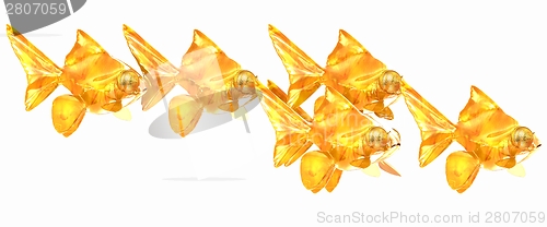 Image of Gold fishes