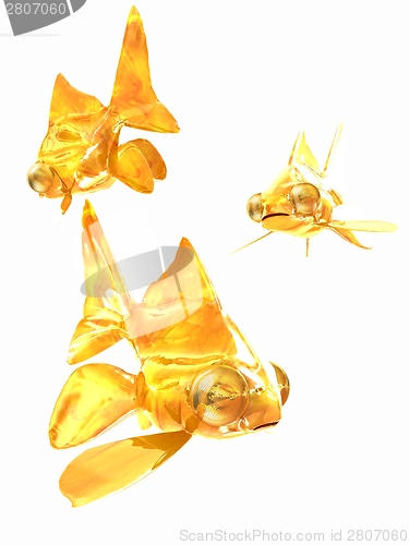 Image of Gold fishes