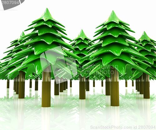 Image of Christmas trees