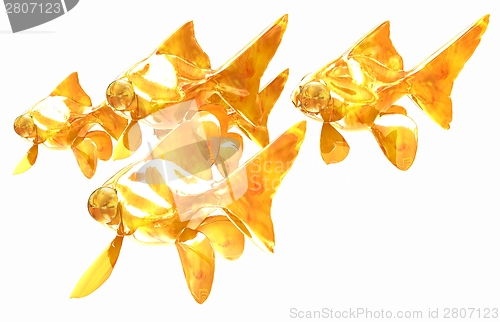 Image of Gold fishes