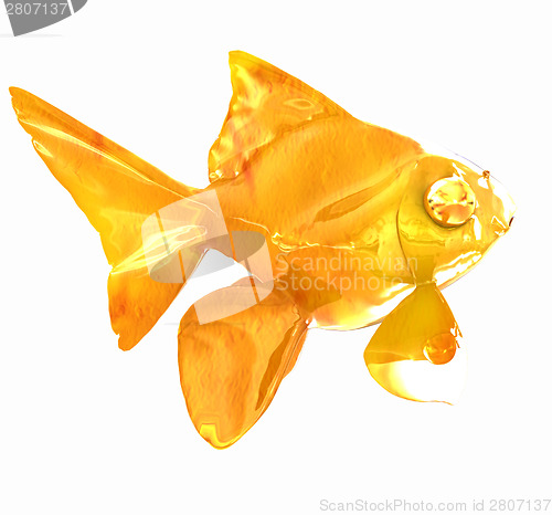 Image of Gold fish