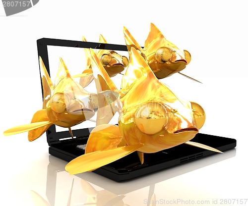 Image of Gold fishea and laptop