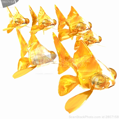 Image of Gold fishes