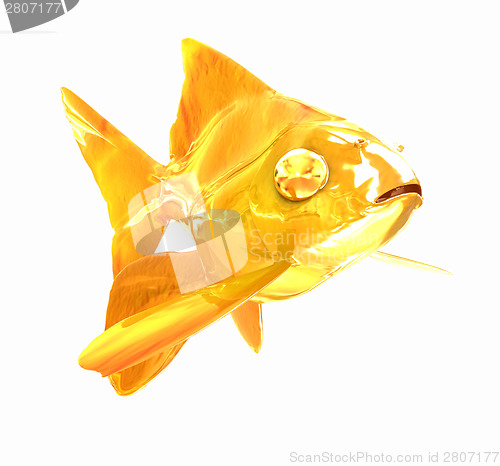 Image of Gold fish