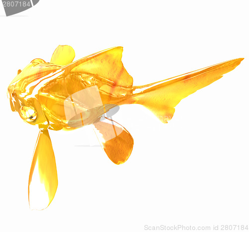 Image of Gold fish